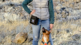 dog-training-helena-mt-11