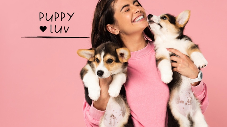 home-page-feature-puppy