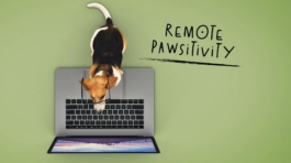 home-page-feature-remote