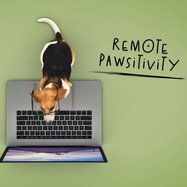 home-page-feature-remote