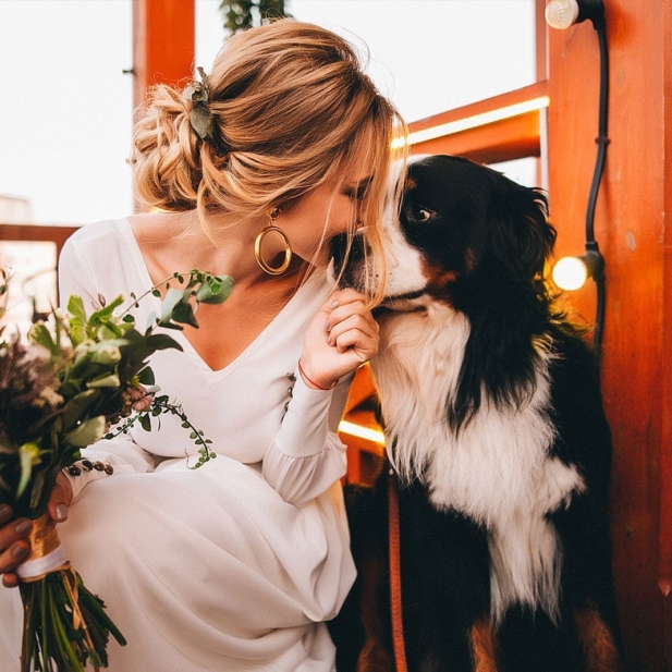 dog-weddings-montana-2