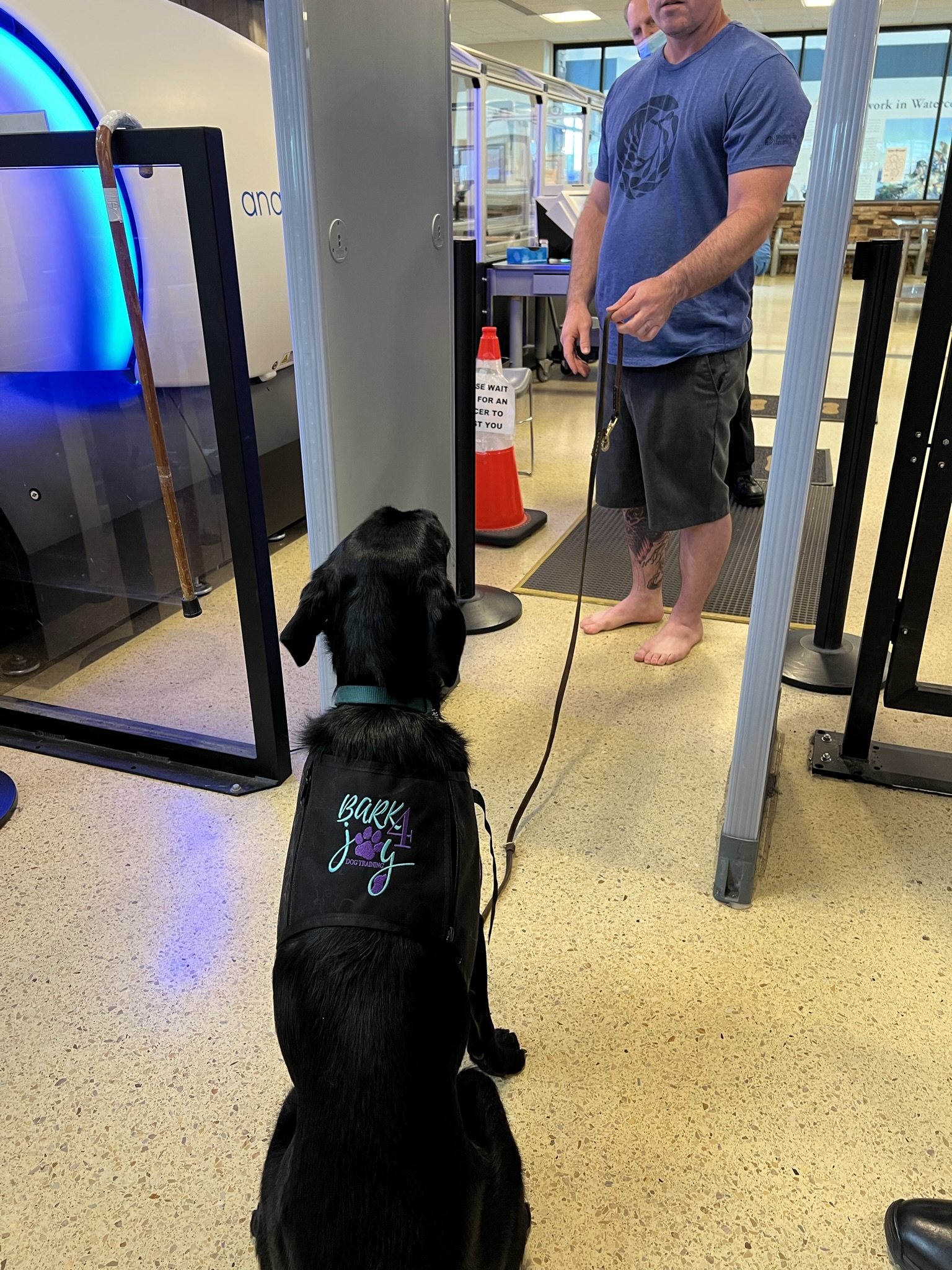 A Bark 4 Joy Service Dog waits as the handler enters through the metal detector.