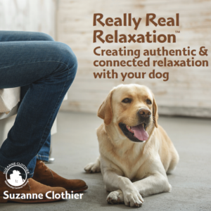 Online Course Relaxation