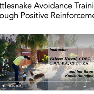 Online Course Rattlesnake Avoidance